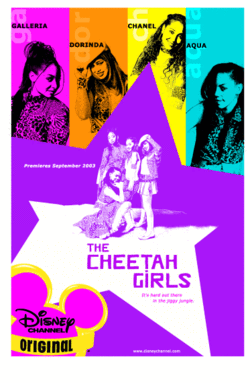 The Cheetah Girls Disney movie dvd