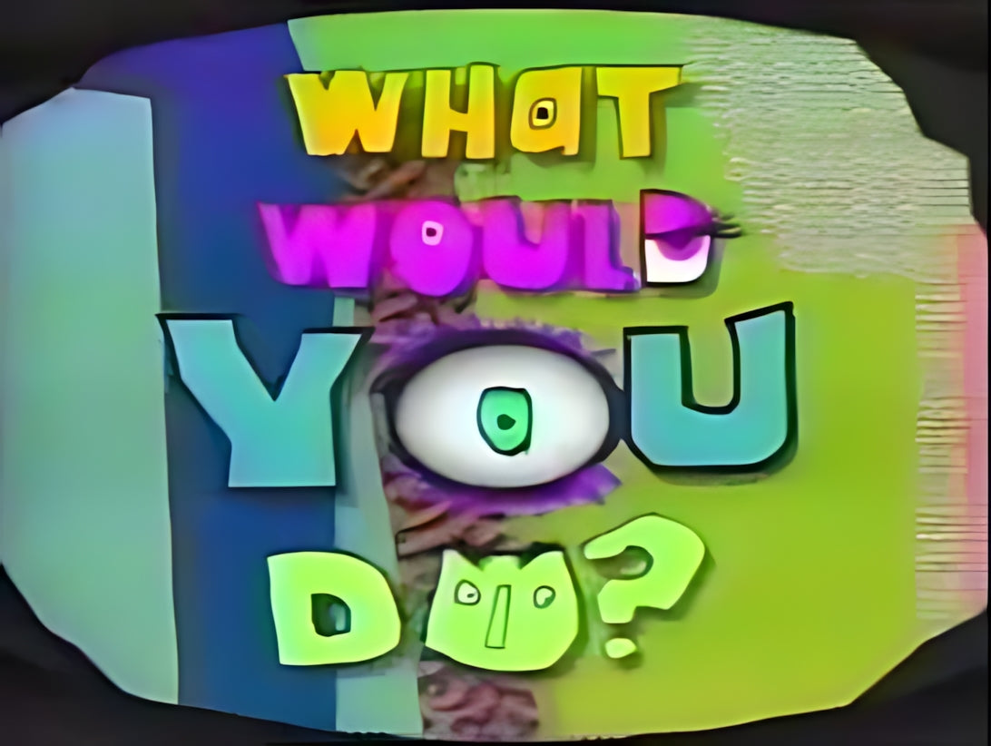 What Would You Do 1991 complete series dvd